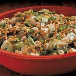 This satisfying Asian Cashew Chicken Salad is crunchy, nutty and sweet all at the same time. To speed up preparation, I use chow mein noodles instead of fried wonton wrappers called for in the original recipe.