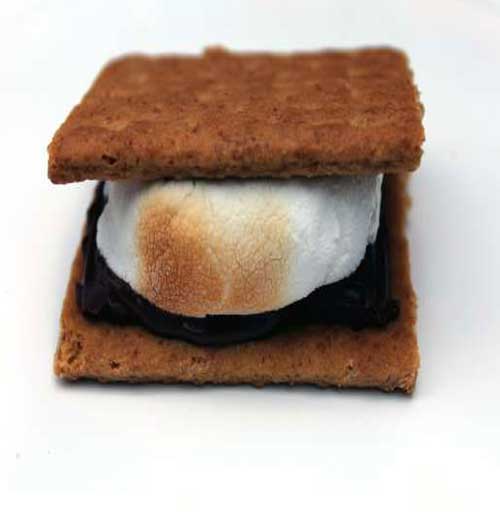 Recipe for Chocolate Graham Cracker Nutella Smores