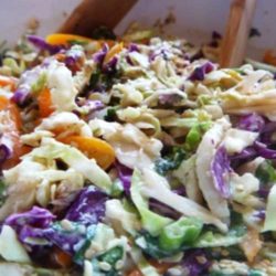 Planning a Hawaiian Luau, the menu has to fit the theme- here’s a Hawaiian Coleslaw everyone will shake their hips to!!