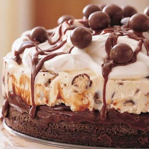 This Chocolate Malt Ice Cream Cake is a party that is just waiting to happen!