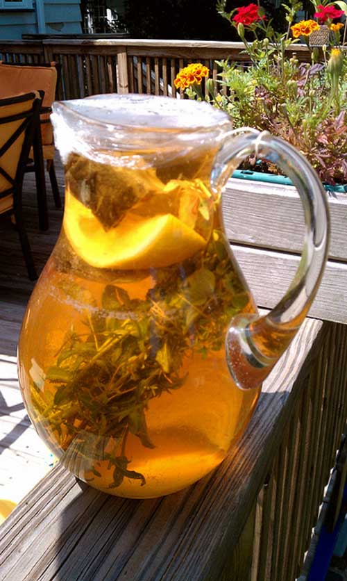 Recipe for Herb Infused Sun Tea - You can use any combination of herbs you like, but this is one of my favorites. If you aren’t able to drink all the tea, you can also freeze it in ice cube trays to add a nice flavor to plain water.