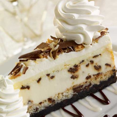 Recipe for Copycat Cheese Cake Factory Coconut Cream Cheesecake - Coconut Cheesecake Topped with Coconut Cream Custard, all on a Chocolate Macaroon Crust.