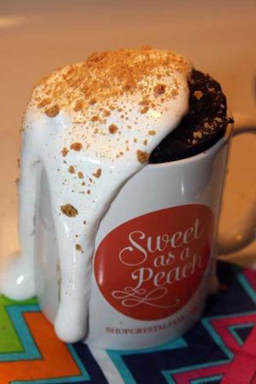 Recipe for Chocolate Fudge Smores Microwave Mug Cake - It's a simple, individual dessert baked in a coffee mug in your microwave in about 5 minutes!