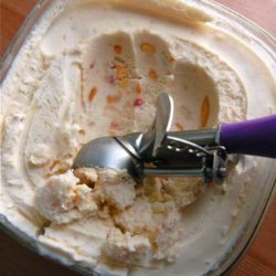 Recipe for Fresh Peach Ice Cream - The result was absolutely amazing, and everyone who tried it agreed.