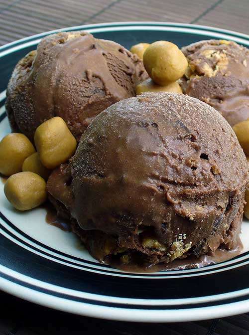Recipe for Vegan Peanut Butter Cup Ice Cream - Tastes every bit as decadent as it sounds, let me tell you. Seriously, three scoops and I was done for the day!