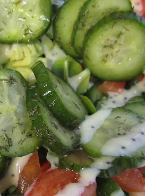 Cucumber Garden Salad