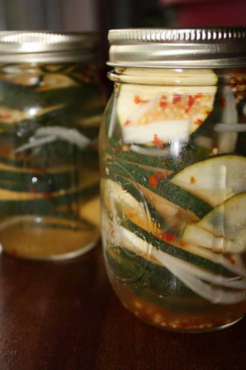 Recipe for Sweet n' Spicy Zucchini Pickles - They're yummy and totally delicious by themselves as a light snack or on hamburgers or anything that you would use regular pickles for with an extra kick!