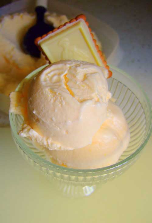 Recipe for Creamsicle Ice Cream - You remember those little cups of half vanilla, half orange sherbet, don't you? Well here is an ice cream that tastes just like those cups of yummy and it's so easy to make.
