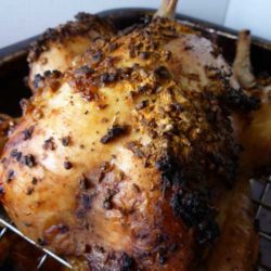 Recipe for 2 Easy Ways to Roast a Whole Chicken - It's nice to be able to choose between the oven and the grill when roasting a chicken. Even better is how great it comes out, no matter which way you choose.