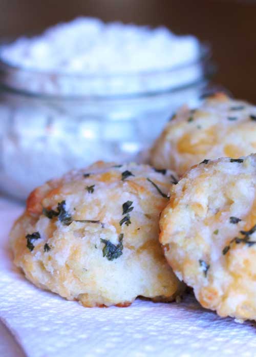 Recipe for Copycat Cheddar Bay Biscuits - These biscuits are very popular and for good reason, they are delicious- what’s not to like, bread-cheese-butter-garlic, yum. The scary part is how simple they are to make.