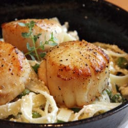 Recipe for Lemon-Ricotta Pasta with Seared Scallops - A ridiculously effortless pasta dish that comes together so quickly you’ll have tons of time left over to enjoy the last days of summer.