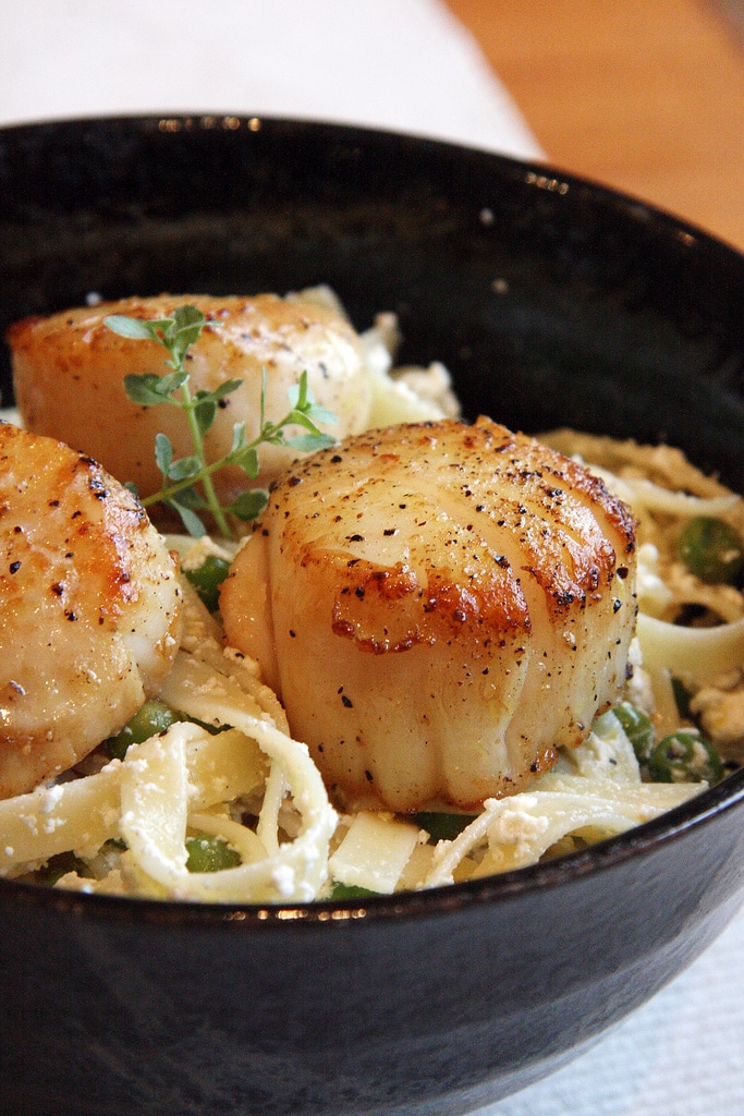 Recipe for Lemon-Ricotta Pasta with Seared Scallops - A ridiculously effortless pasta dish that comes together so quickly you’ll have tons of time left over to enjoy the last days of summer.