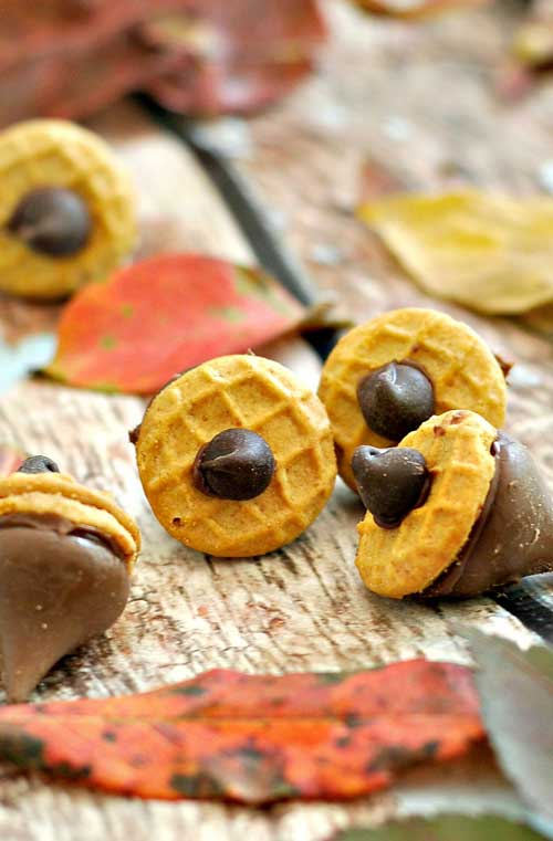 Recipe for Nutella Acorn Kisses - Here is a quick treat that you can make to celebrate the arrival of fall.