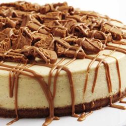 Cookie butter. Cheesecake. Delicious on their own. Put them together in this Cookie Butter Cheesecake, and you end up more than happy.