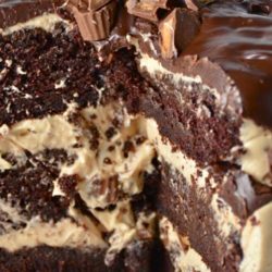 Overload definitely describes this ridiculously amazing Chocolate Peanut Butter Cup Overload Cake.