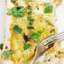 Fall off the bone chicken mixed with salsa verde and topped with a avocado yogurt sauce to make one creamy enchilada.