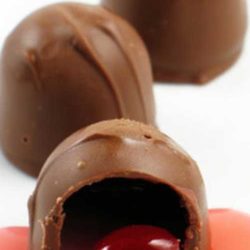 These chocolate covered cherry cordials are exactly what I was looking for: a luscious, syrupy cherry encased in dark chocolate.
