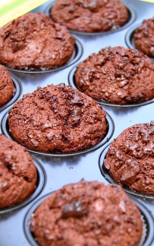 Recipe for Double Chocolate Muffins - Looking for the best Double Chocolate Muffins? Look no further! These are moist, tender, and extremely chocolatey!
