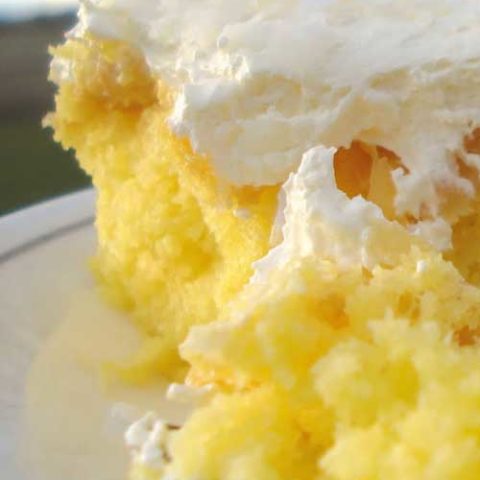 Recipe for Pineapple Coconut Cake - All the flavors go together deliciously! The cake is lemon, topped with crushed pineapple, a vanilla cream frosting, and sprinkled on top of that, shredded coconut. So YUM!