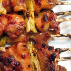Recipe for Japanese Grilled Chicken - This is the best thing you can cook on a skewer! If you're planning on grilling, you NEED this recipe. (And if you don't have a grill, just pull out your trusty grill pan!)