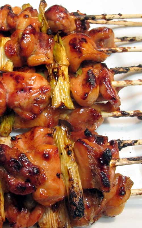 This Japanese Grilled Chicken is the best thing you can cook on a skewer! If you're planning on grilling, you NEED this recipe. (And if you don't have a grill, just pull out your trusty grill pan!)