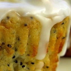 Recipe for Lemon Poppyseed Muffins - I like poppy seeds. I like lemony baked goods. And I love icing! Put those three elements together and bake them into cute little muffins and you'll win my heart!