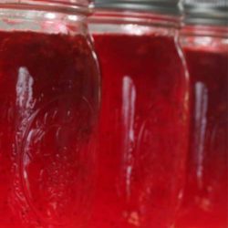 Recipe for Fresh Strawberry Jam - Making a simple strawberry jam is the best way to break into canning. It’s easy, delicious, and loved by all.