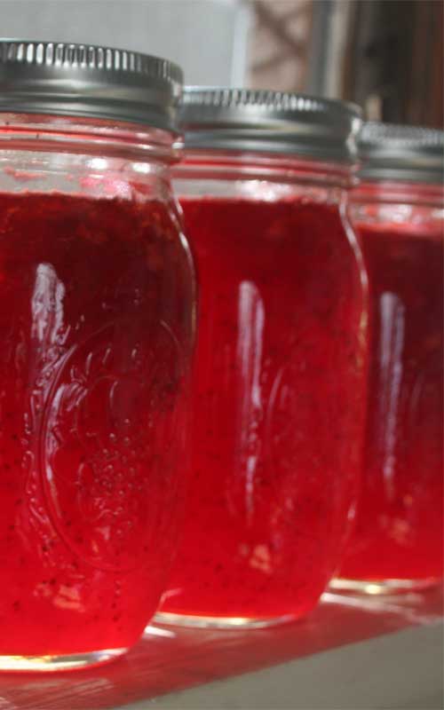 Recipe for Fresh Strawberry Jam - Making a simple strawberry jam is the best way to break into canning. It’s easy, delicious, and loved by all.