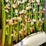 Recipe for Lemony Asparagus with Almonds - Looking for an easy, healthy, and delicious veggie side dish? Try this Lemony Asparagus with Almonds. The perfect way to welcome spring to your table. Try it with your dinner tonight!