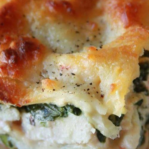 Lasagna Alfredo Recipe Flavorite